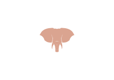Corail elephant icon
