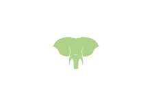 Green elephant icon