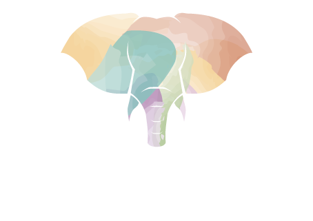QSimbo Logo